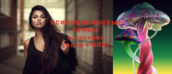 трава Алзамай