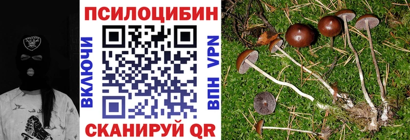 сайты даркнета Telegram  Елизаветинская  Псилоцибиновые грибы Magic Shrooms  kraken ТОР 
